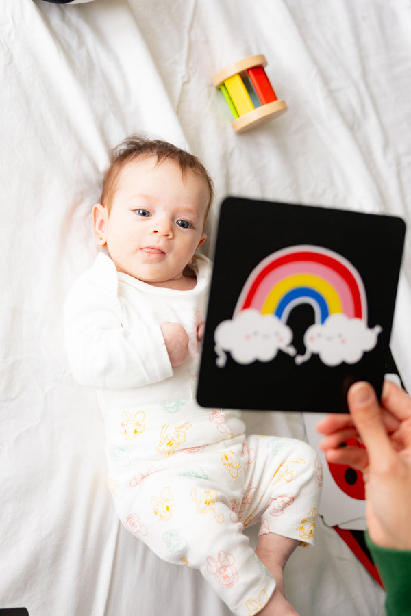 early Neural connections