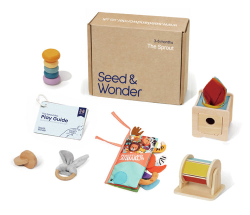 The Play Boxes